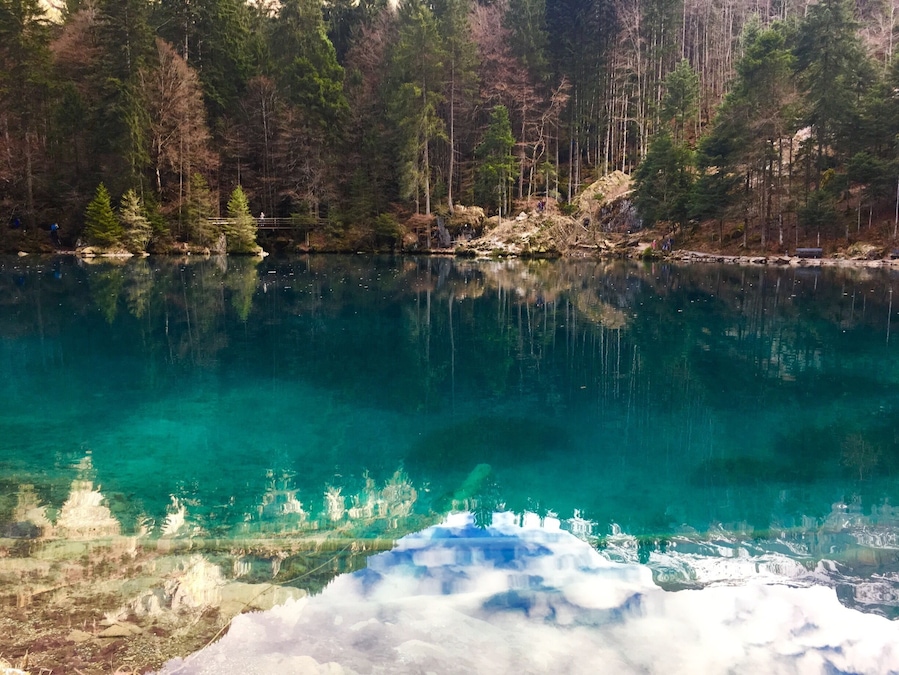 Ein klarer See, umgeben von dichtem Wald.