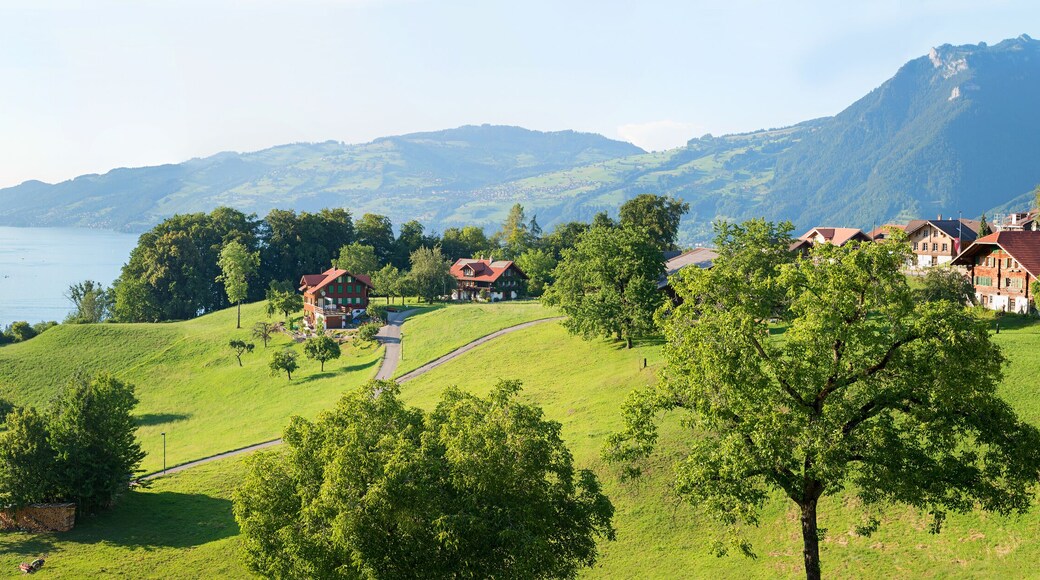 idyllic rural landscape tourist resort Krattigen, view to Niederhorn mountain and lake Thunersee