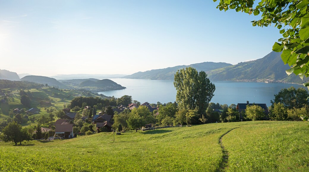 idyllic landscape tourist resort krattigen with view to lake Thunersee and Niesen mountain