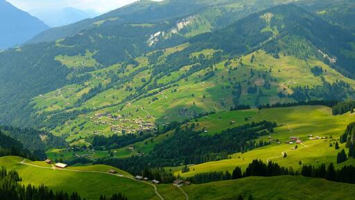 Summer time mountain nature panoramic landscape near Habkern, Switzerland
