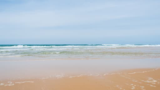 LE PORGE (Gironde, France), près de Lacanau