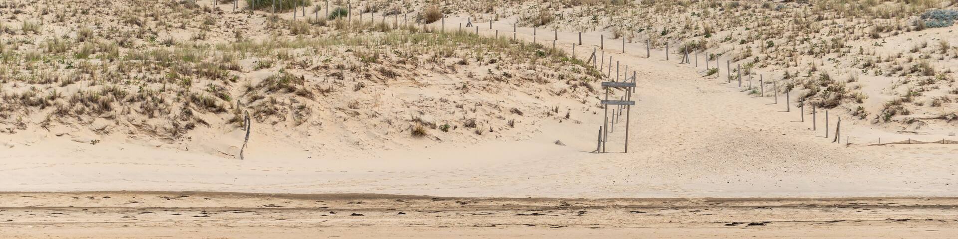 LE PORGE (Gironde, France), près de Lacanau