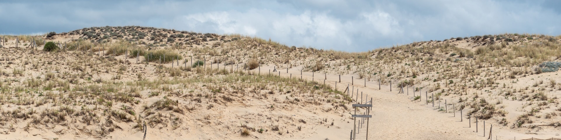 LE PORGE (Gironde, France), près de Lacanau