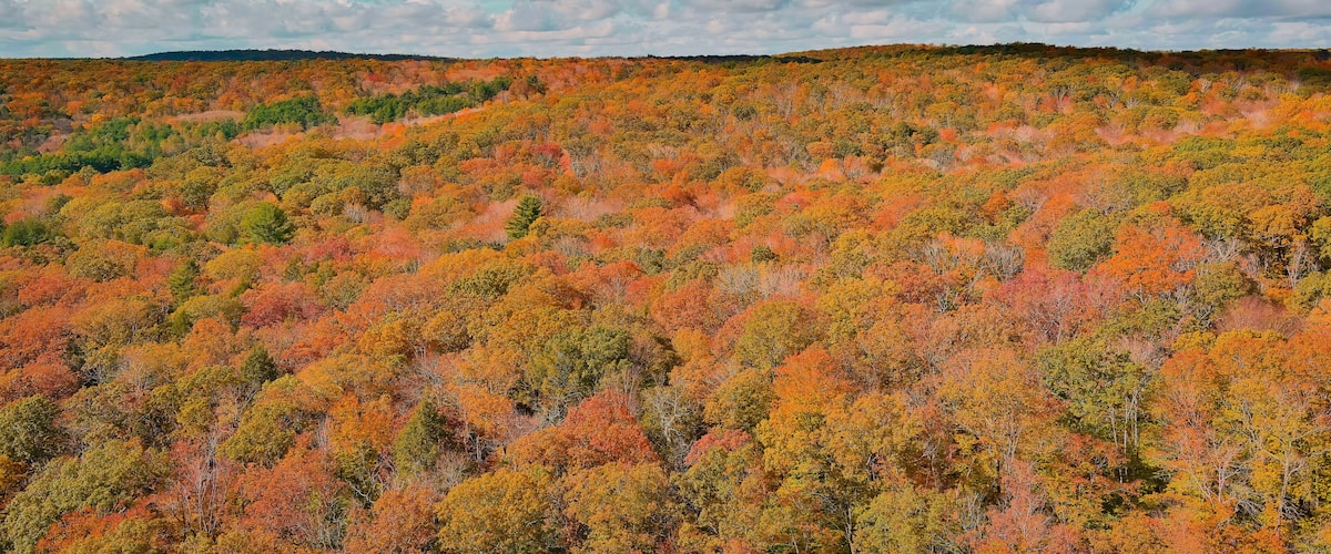 Bright colors of autumn. View above. East Hampton, Connecticut