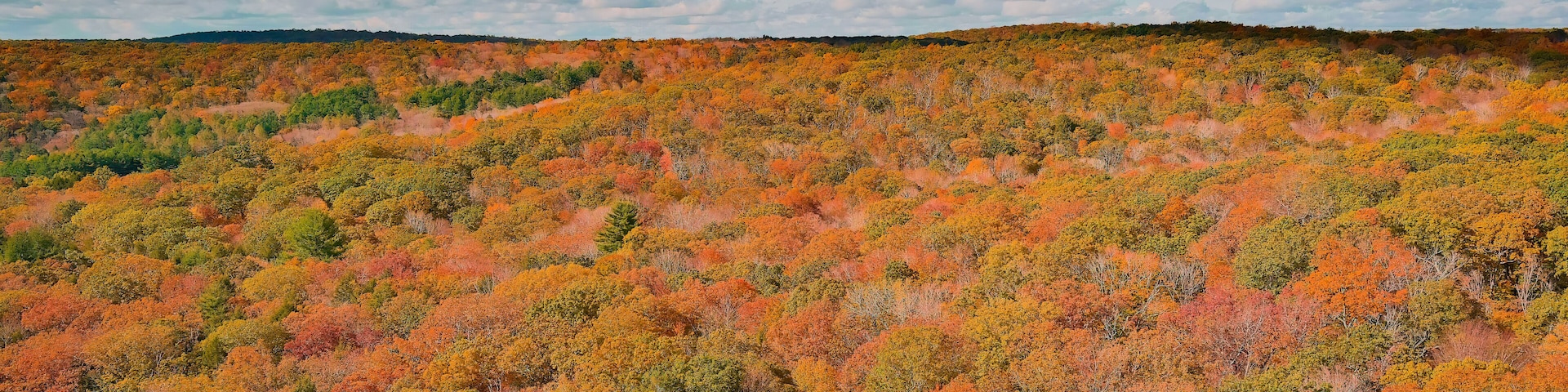 Bright colors of autumn. View above. East Hampton, Connecticut