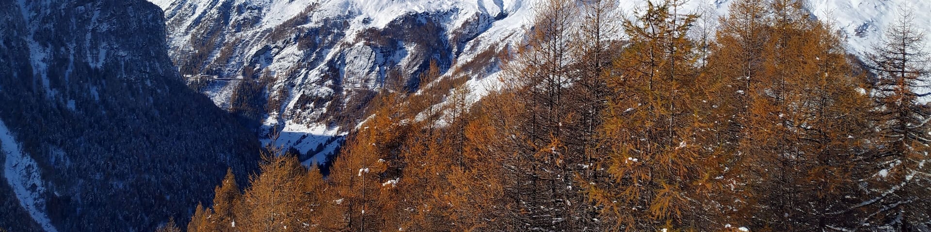 When winter meets autumn
#LifeAtExpediaGroup at La Forclaz in the Val d'Herens.
A beautiful snowshoe hike in the most quiet environment