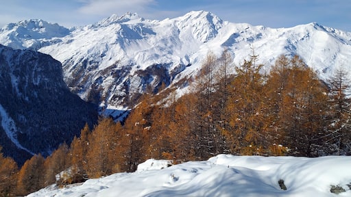 When winter meets autumn
#LifeAtExpediaGroup at La Forclaz in the Val d'Herens.
A beautiful snowshoe hike in the most quiet environment