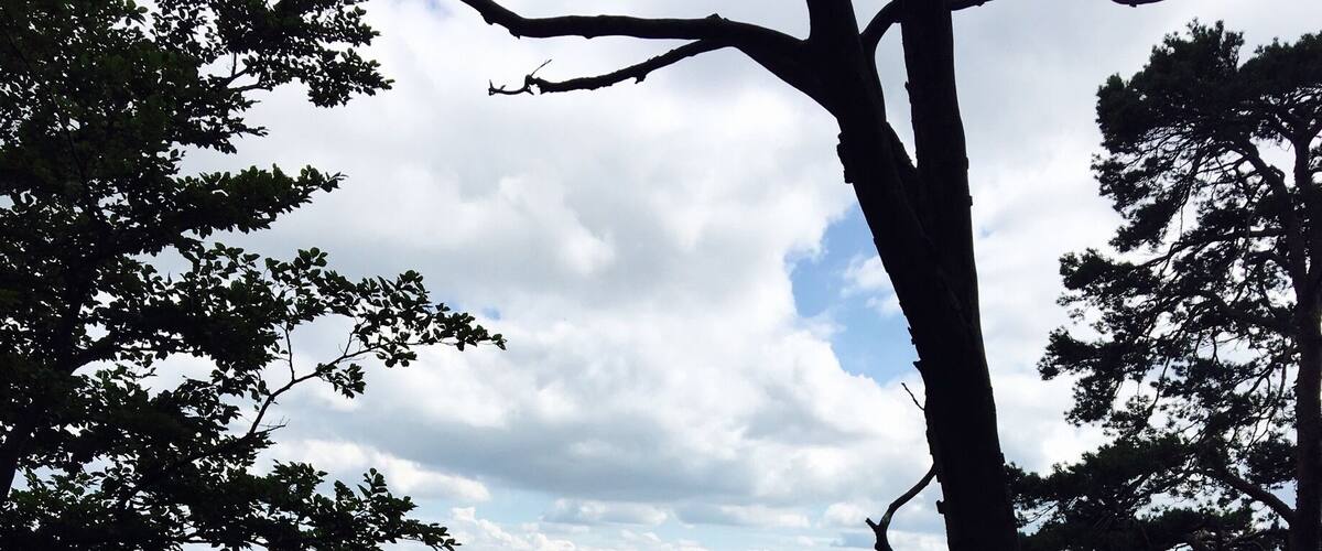 Hiking near Wassefallen, Switzerland. Take public transport from Basel to the picturesque town of Reigoldswil where there is a cable car into the mountains. At the top are hiking trails, a ropes/zip line course, cafes, and picnic sites. Hike up to the ridge - on a clear day, you can see the Alps. To get down, you have the option to walk, ride the cable car, or rent adult-sized scooters to glide back to town. Great day trip from Basel!