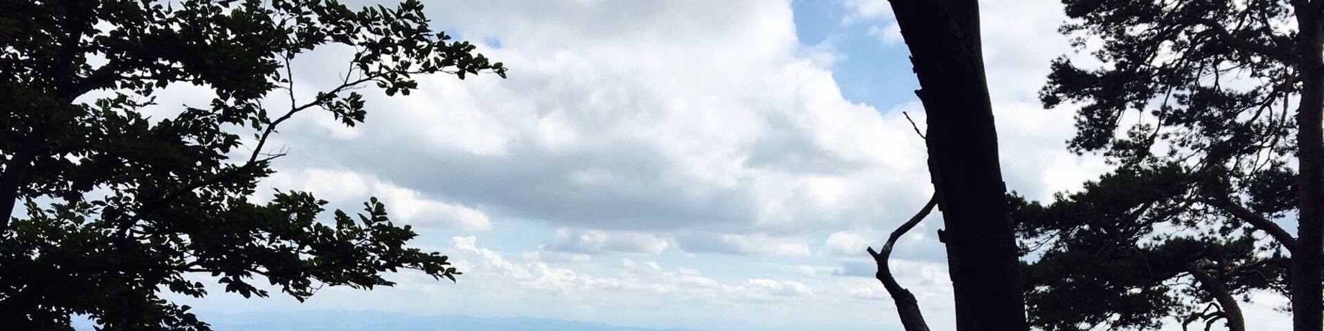 Hiking near Wassefallen, Switzerland. Take public transport from Basel to the picturesque town of Reigoldswil where there is a cable car into the mountains. At the top are hiking trails, a ropes/zip line course, cafes, and picnic sites. Hike up to the ridge - on a clear day, you can see the Alps. To get down, you have the option to walk, ride the cable car, or rent adult-sized scooters to glide back to town. Great day trip from Basel!