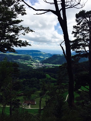 Hiking near Wassefallen, Switzerland. Take public transport from Basel to the picturesque town of Reigoldswil where there is a cable car into the mountains. At the top are hiking trails, a ropes/zip line course, cafes, and picnic sites. Hike up to the ridge - on a clear day, you can see the Alps. To get down, you have the option to walk, ride the cable car, or rent adult-sized scooters to glide back to town. Great day trip from Basel!