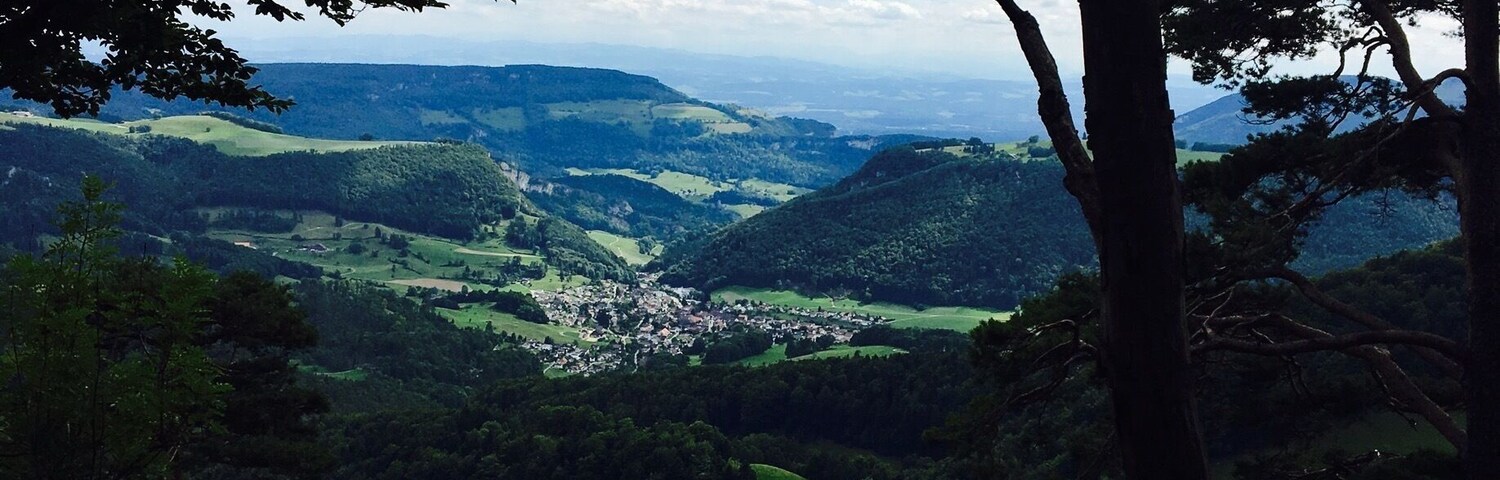 Hiking near Wassefallen, Switzerland. Take public transport from Basel to the picturesque town of Reigoldswil where there is a cable car into the mountains. At the top are hiking trails, a ropes/zip line course, cafes, and picnic sites. Hike up to the ridge - on a clear day, you can see the Alps. To get down, you have the option to walk, ride the cable car, or rent adult-sized scooters to glide back to town. Great day trip from Basel!