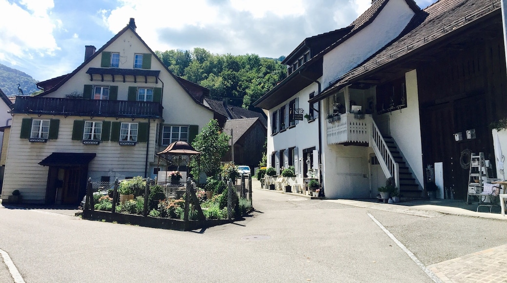 Hiking near Wassefallen, Switzerland. Take public transport from Basel to the picturesque town of Reigoldswil where there is a cable car into the mountains. At the top are hiking trails, a ropes/zip line course, cafes, and picnic sites. Hike up to the ridge - on a clear day, you can see the Alps. To get down, you have the option to walk, ride the cable car, or rent adult-sized scooters to glide back to town. Great day trip from Basel!