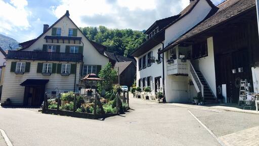 Hiking near Wassefallen, Switzerland. Take public transport from Basel to the picturesque town of Reigoldswil where there is a cable car into the mountains. At the top are hiking trails, a ropes/zip line course, cafes, and picnic sites. Hike up to the ridge - on a clear day, you can see the Alps. To get down, you have the option to walk, ride the cable car, or rent adult-sized scooters to glide back to town. Great day trip from Basel!