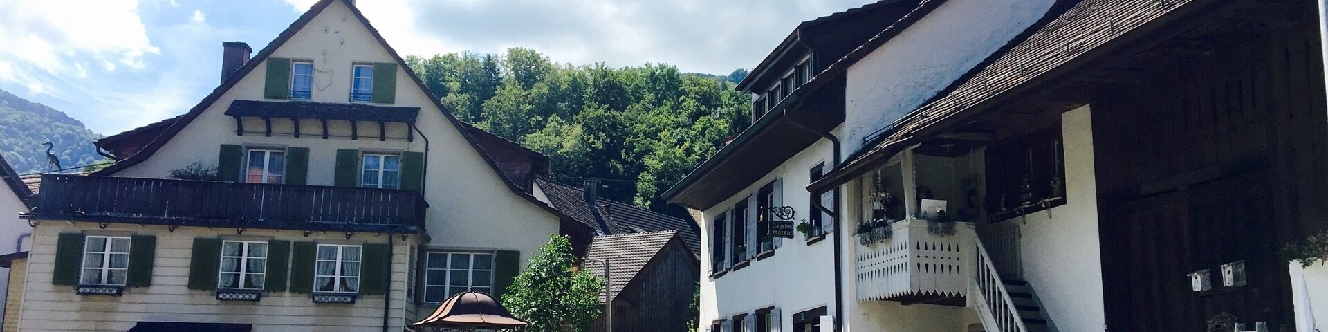 Hiking near Wassefallen, Switzerland. Take public transport from Basel to the picturesque town of Reigoldswil where there is a cable car into the mountains. At the top are hiking trails, a ropes/zip line course, cafes, and picnic sites. Hike up to the ridge - on a clear day, you can see the Alps. To get down, you have the option to walk, ride the cable car, or rent adult-sized scooters to glide back to town. Great day trip from Basel!