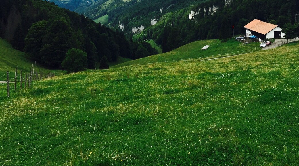 Hiking near Wassefallen, Switzerland. Take public transport from Basel to the picturesque town of Reigoldswil where there is a cable car into the mountains. At the top are hiking trails, a ropes/zip line course, cafes, and picnic sites. Hike up to the ridge - on a clear day, you can see the Alps. To get down, you have the option to walk, ride the cable car, or rent adult-sized scooters to glide back to town. Great day trip from Basel!