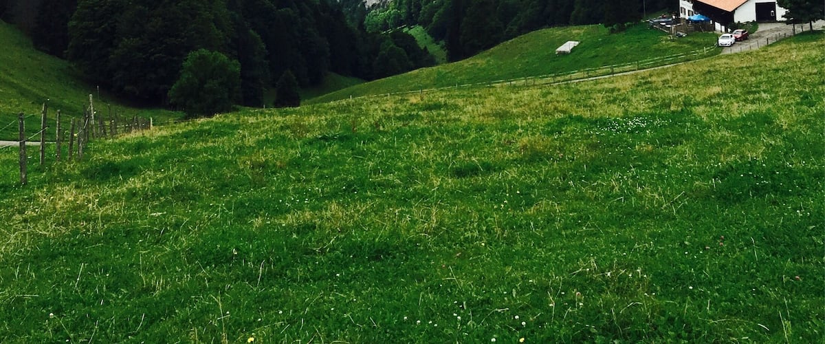 Hiking near Wassefallen, Switzerland. Take public transport from Basel to the picturesque town of Reigoldswil where there is a cable car into the mountains. At the top are hiking trails, a ropes/zip line course, cafes, and picnic sites. Hike up to the ridge - on a clear day, you can see the Alps. To get down, you have the option to walk, ride the cable car, or rent adult-sized scooters to glide back to town. Great day trip from Basel!