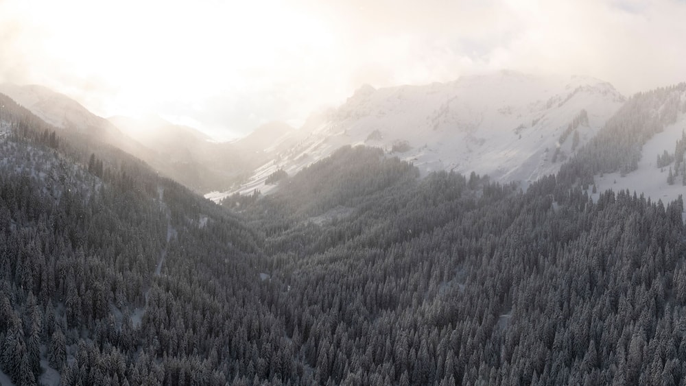 Aerial view of snow-covered mountains and frozen trees in a misty forest at sunset, Val-d'Illiez, Switzerland.