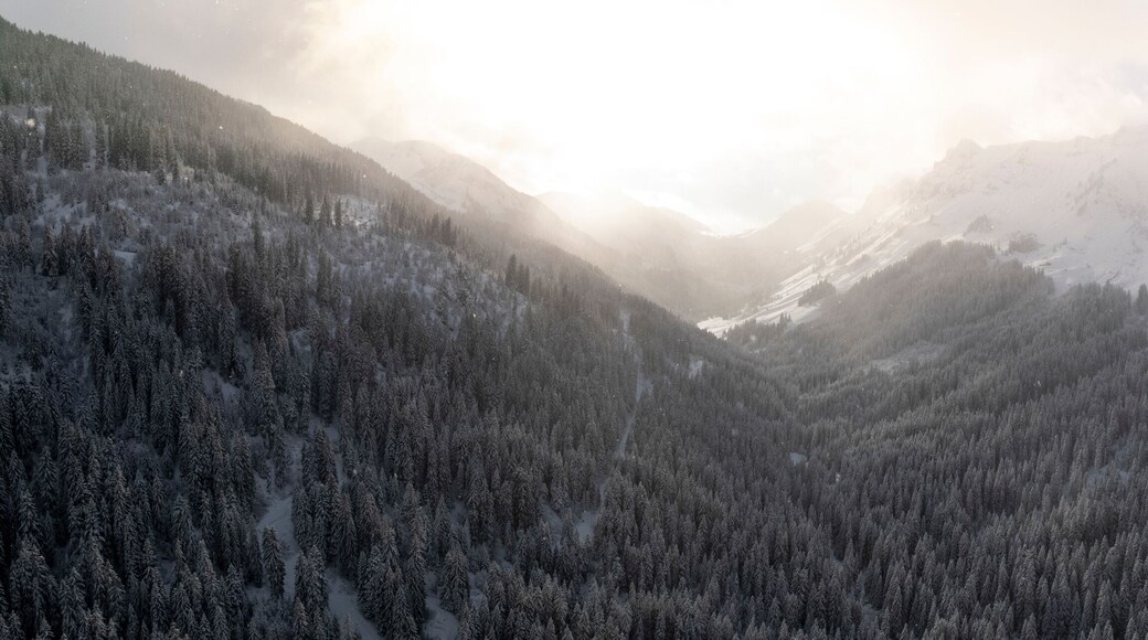 Aerial view of snow-covered mountains and frozen trees in a misty forest at sunset, Val-d'Illiez, Switzerland.