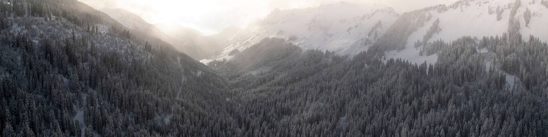 Aerial view of snow-covered mountains and frozen trees in a misty forest at sunset, Val-d'Illiez, Switzerland.