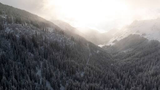 Aerial view of snow-covered mountains and frozen trees in a misty forest at sunset, Val-d'Illiez, Switzerland.