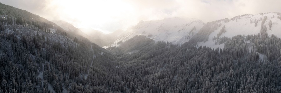 Aerial view of snow-covered mountains and frozen trees in a misty forest at sunset, Val-d'Illiez, Switzerland.