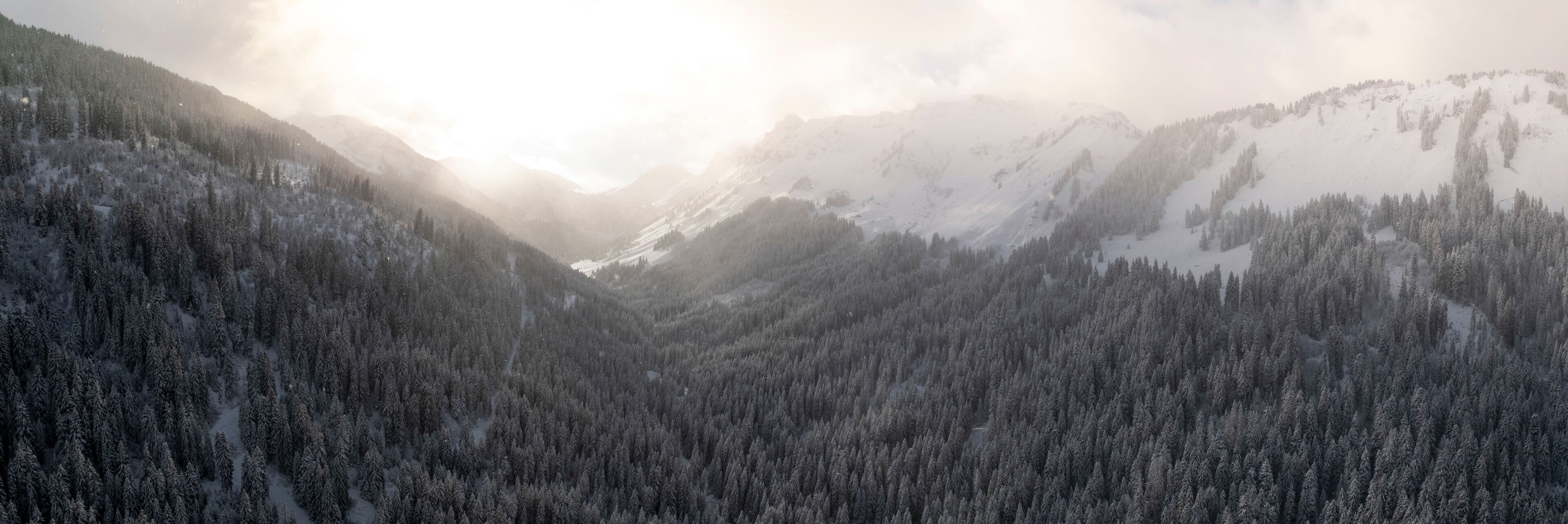 A snow-covered mountain range with dense forests.