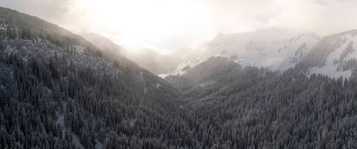 A snow-covered mountain range with dense forests.