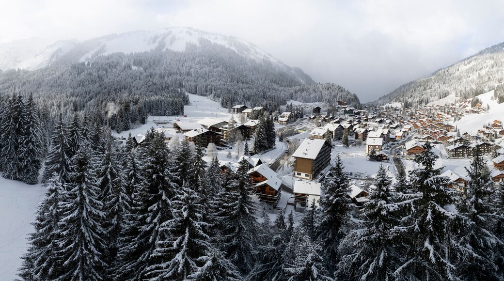 Aerial view of snow-covered village with frozen trees and ski slope in misty forest, Val-d'Illiez, Switzerland.