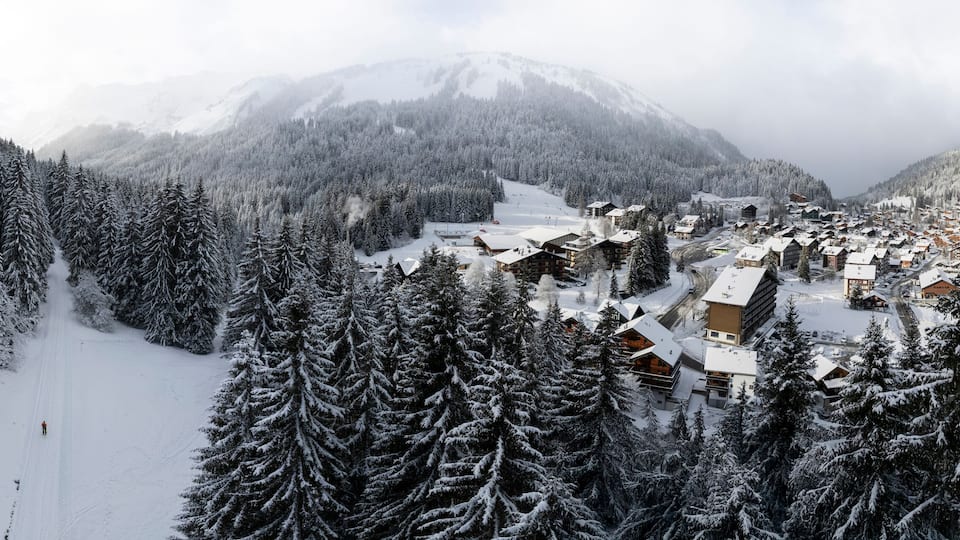 A snow-covered mountain village with dense forests and a prominent peak in the background.