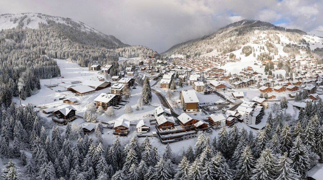 Aerial view of picturesque village surrounded by snow-covered mountains and frozen trees, Val-d'Illiez, Switzerland.