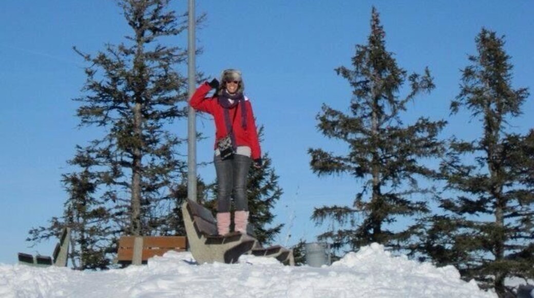 Top of the mountain to Ya #Snow #Switzerland