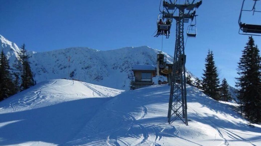 Tracks in the #Snow in #Switzerland