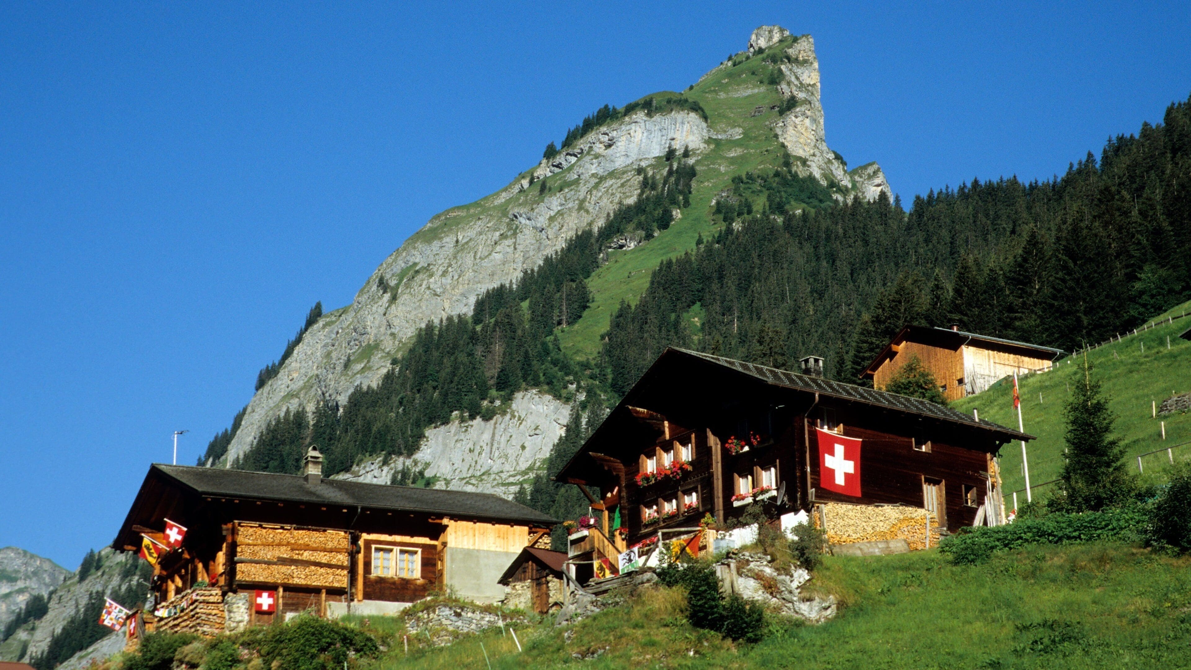 De bernesiske Alper som viser fjell