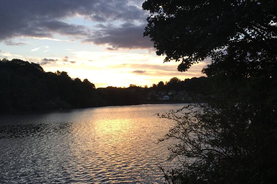 Een zonsondergang boven een rustig meer met bomen aan de oever.