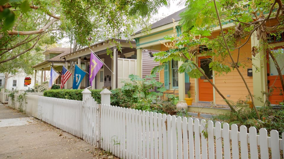 Spanish Town Historic District showing a house