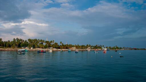 Maamigili Island