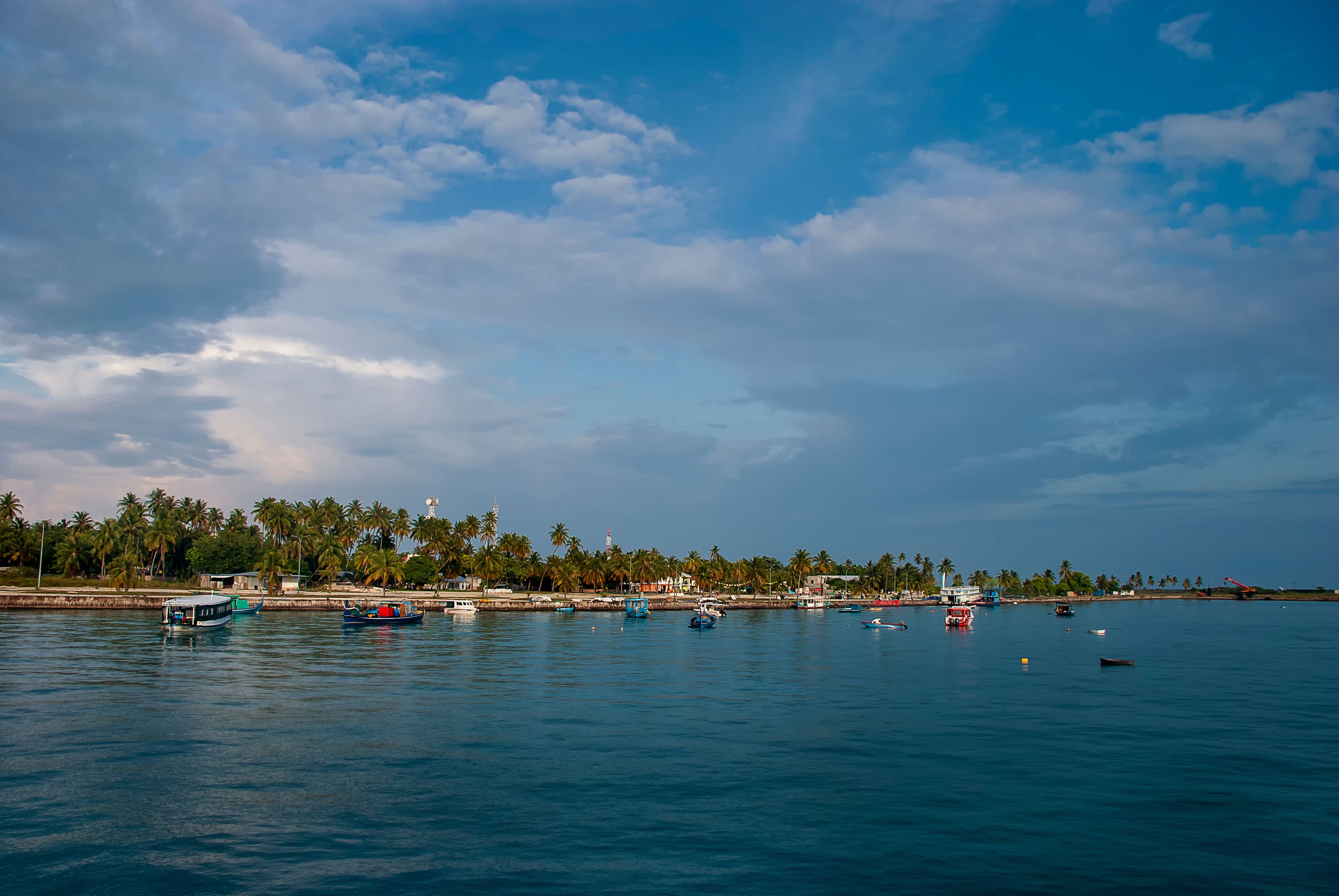 A coastal scene with a calm sea, several boats, and a line of palm trees along the shore.