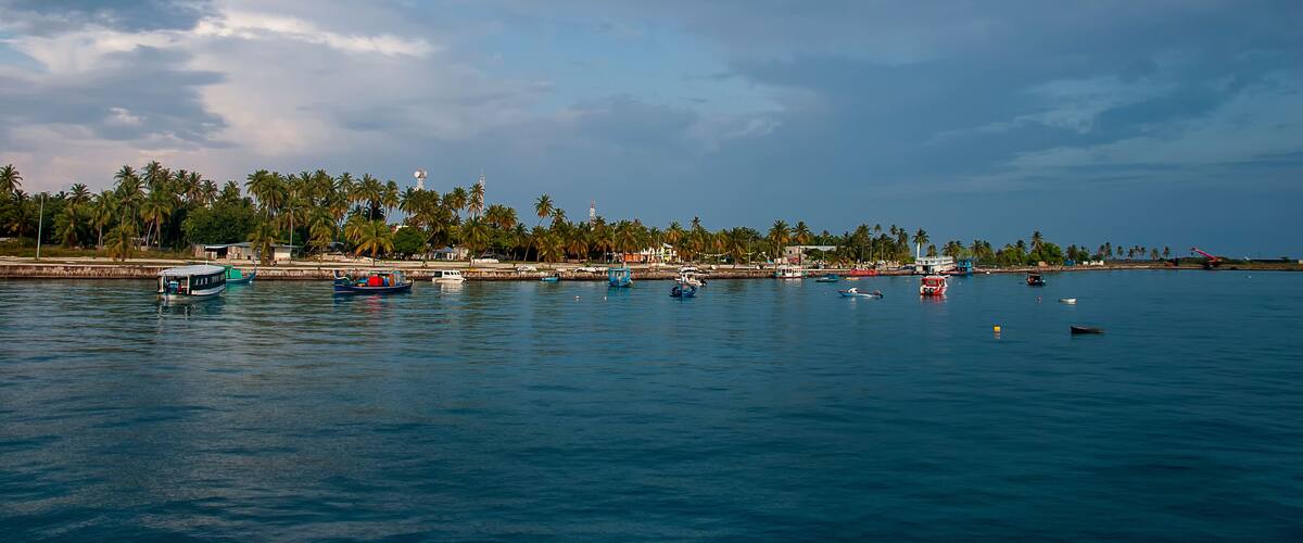 A coastal scene with a calm sea, several boats, and a line of palm trees along the shore.