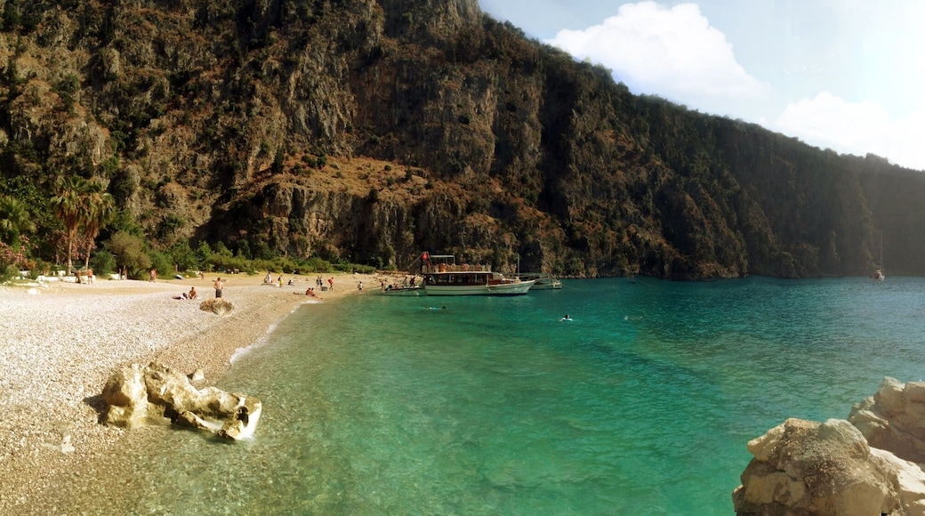 Butterfly Valley (Turkish: Kelebekler Vadisi) is a valley in Fethiye district of Muğla Province, southwestern Turkey, which is home to diverse butterfly species.
The valley is situated at the foothill of Babadağ, a 1,975 m (6,480 ft)-high mountain nominated for preservation as world heritage. A wide-strip sand beach at a bay on the Turkish Riviera protrudes from the valley. In the form of a narrow canyon stretching over around 3–4 km (1.9–2.5 mi), the valley's steep walls are 350–400 m (1,150–1,310 ft) high. A trail in the valley leads to two small waterfalls dropping from 60 m (200 ft) all the year around. In the middle of the valley, a creek runs, carrying water from a spring in nearby Faralya village to the sea. A road from Ölüdeniz to Uzunyurt, which is part of the Lycian Way Ultramarathon route, runs atop the rocks around the valley