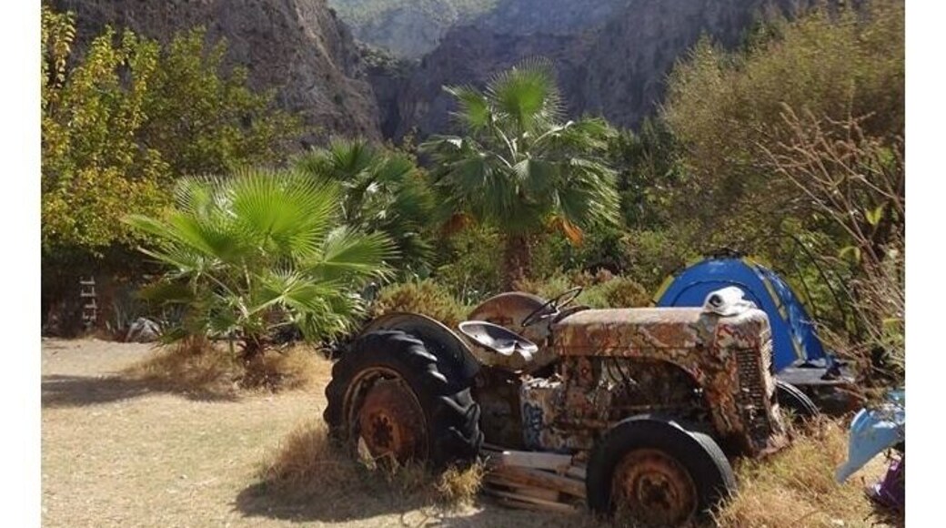Butterfly Valley during a boat trip stop off. Our accommodation was at the top of the valley in Faralya so it was nice to get a different perspective.