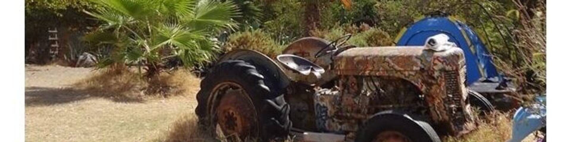 Butterfly Valley during a boat trip stop off. Our accommodation was at the top of the valley in Faralya so it was nice to get a different perspective.
