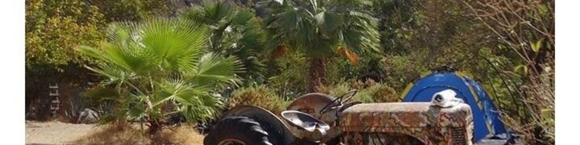 Butterfly Valley during a boat trip stop off. Our accommodation was at the top of the valley in Faralya so it was nice to get a different perspective.