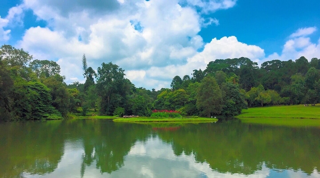 This image titled Beautiful Landscape from my travel with vacation,