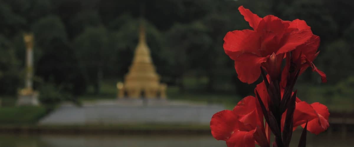 Beautiful gardens just outside a ridiculously charming hill town in central Burma/Myanmar