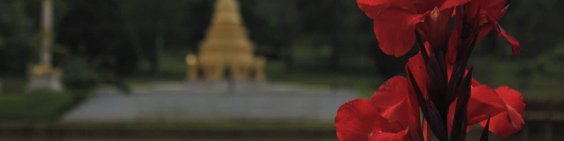 Beautiful gardens just outside a ridiculously charming hill town in central Burma/Myanmar