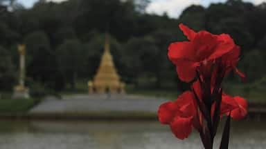 Beautiful gardens just outside a ridiculously charming hill town in central Burma/Myanmar