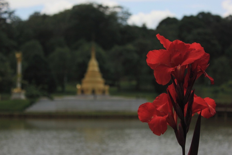 Beautiful gardens just outside a ridiculously charming hill town in central Burma/Myanmar