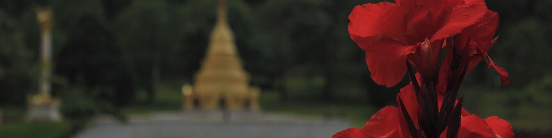 Beautiful gardens just outside a ridiculously charming hill town in central Burma/Myanmar