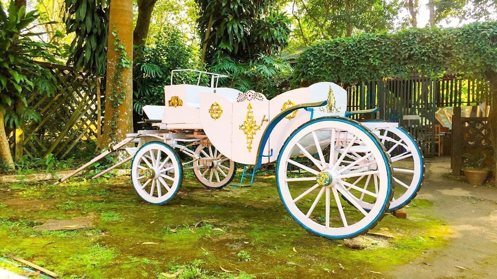 The cart with the beautiful formations as creation , view from travel in Pyin Oo Lwin Town .