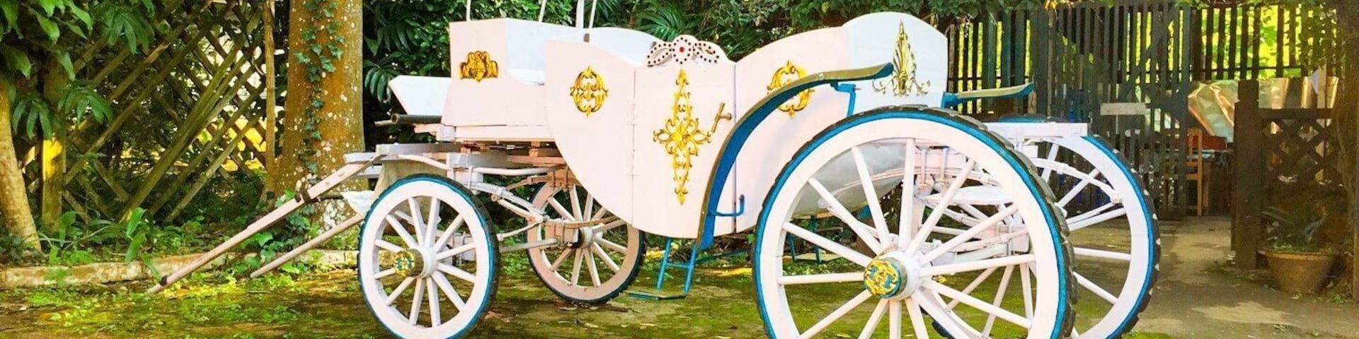 The cart with the beautiful formations as creation , view from travel in Pyin Oo Lwin Town .